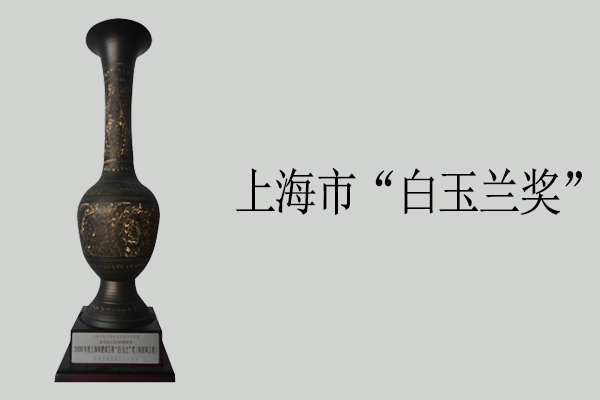 上海市“白玉蘭獎”